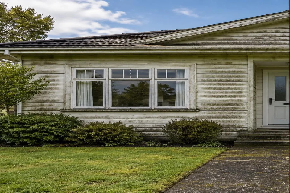 House exterior before representative washing